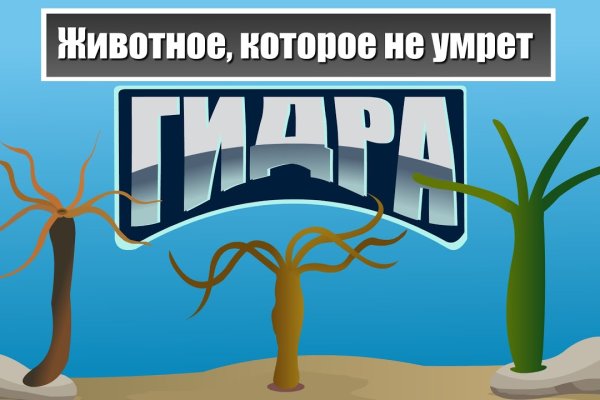 Даркмаркет кракен